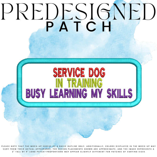 SD IN TRAINING BUSY LEARNING MY SKILLS