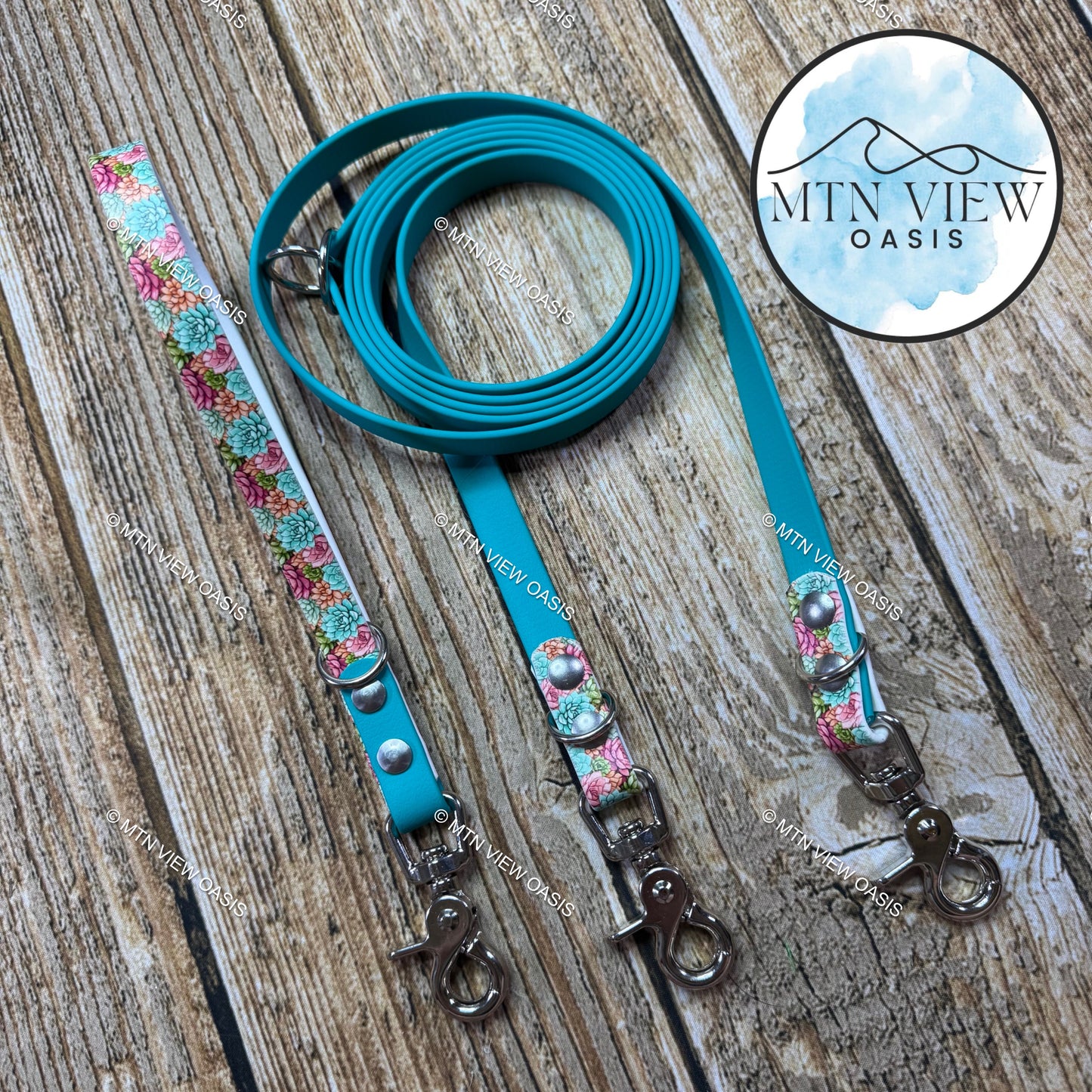 BIOTHANE LEASH SET