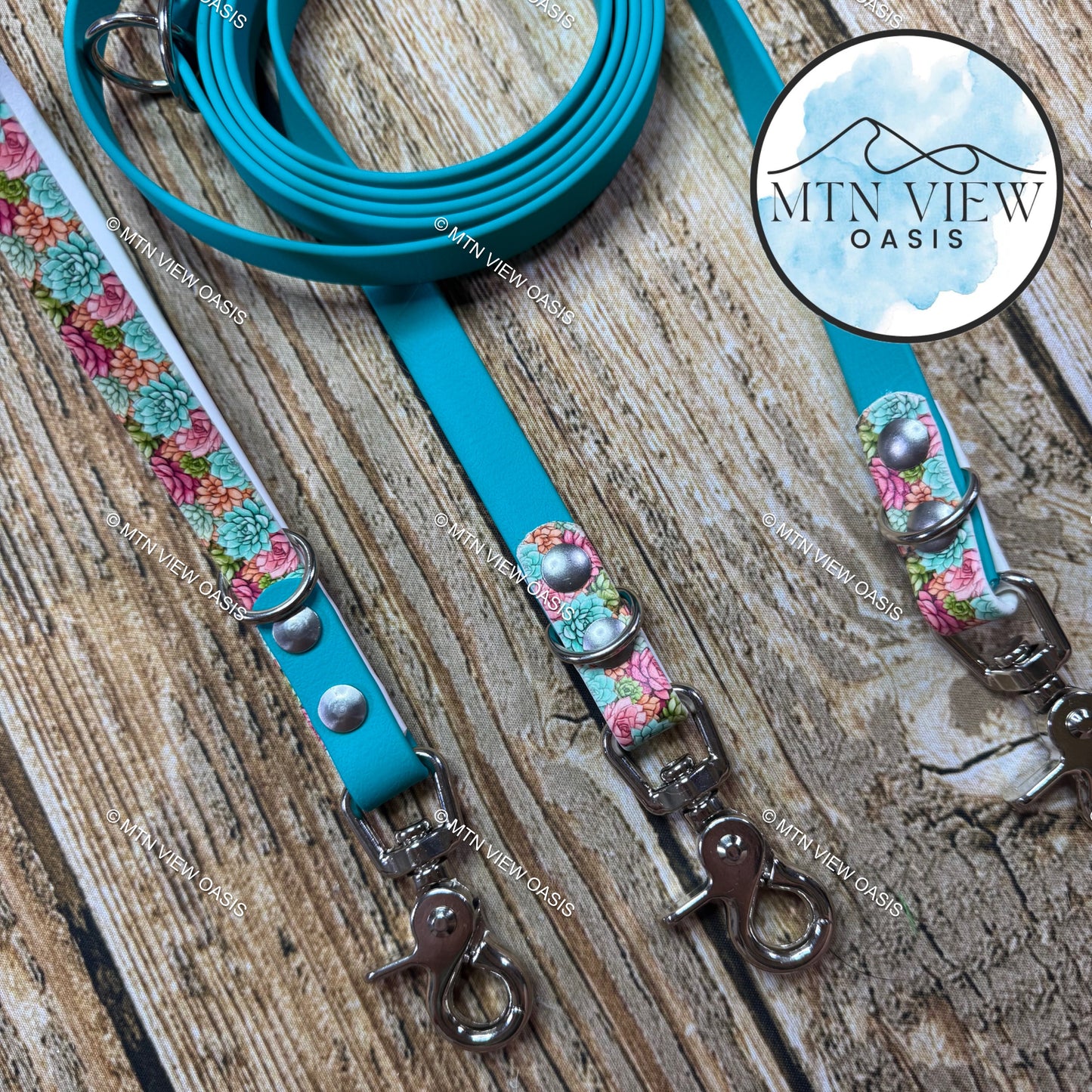 BIOTHANE LEASH SET