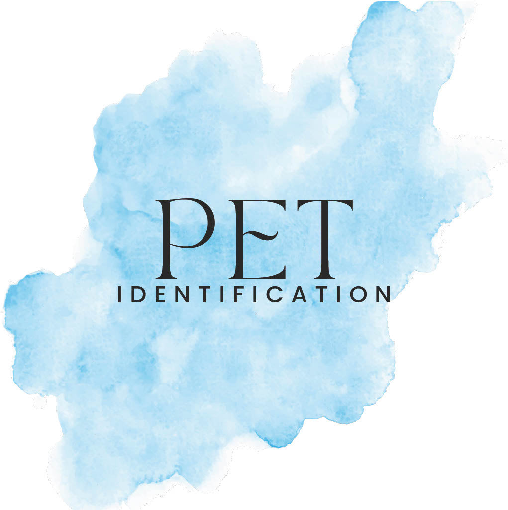 Pet Indentification