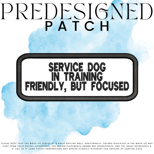 SD IN TRAINING FRIENDLY BUT FOCUSED