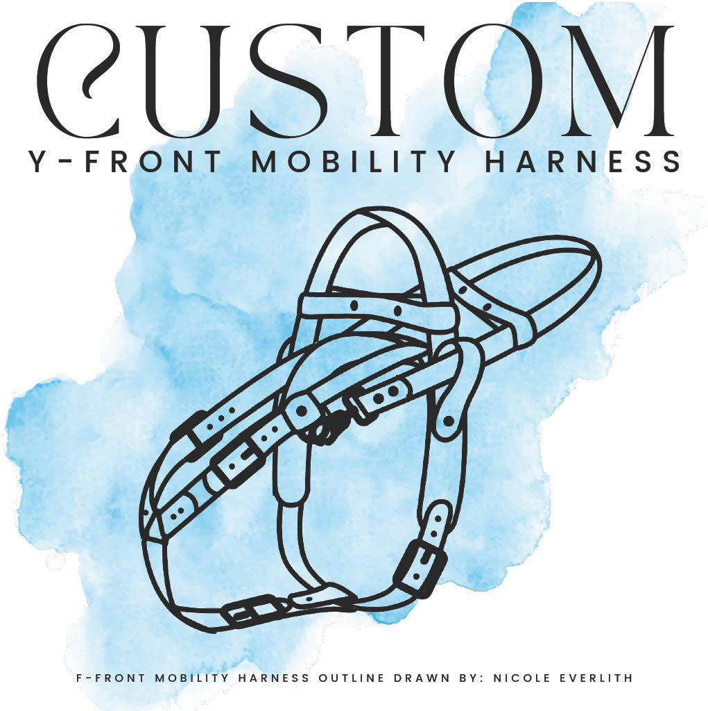 CUSTOM BIOTHANE Y-FRONT MOBILITY HARNESS (coming soon!)