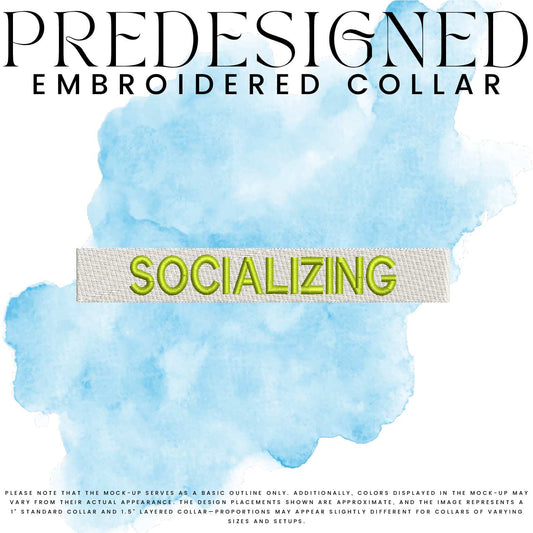 SOCIALIZING