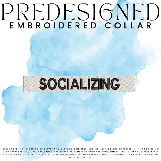 SOCIALIZING