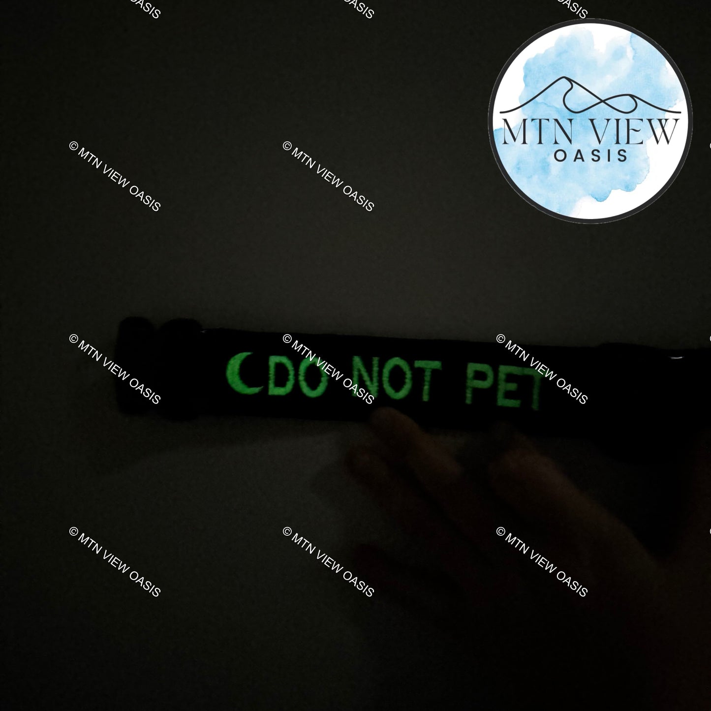 1.5” GLOW EMBROIDERED COLLAR