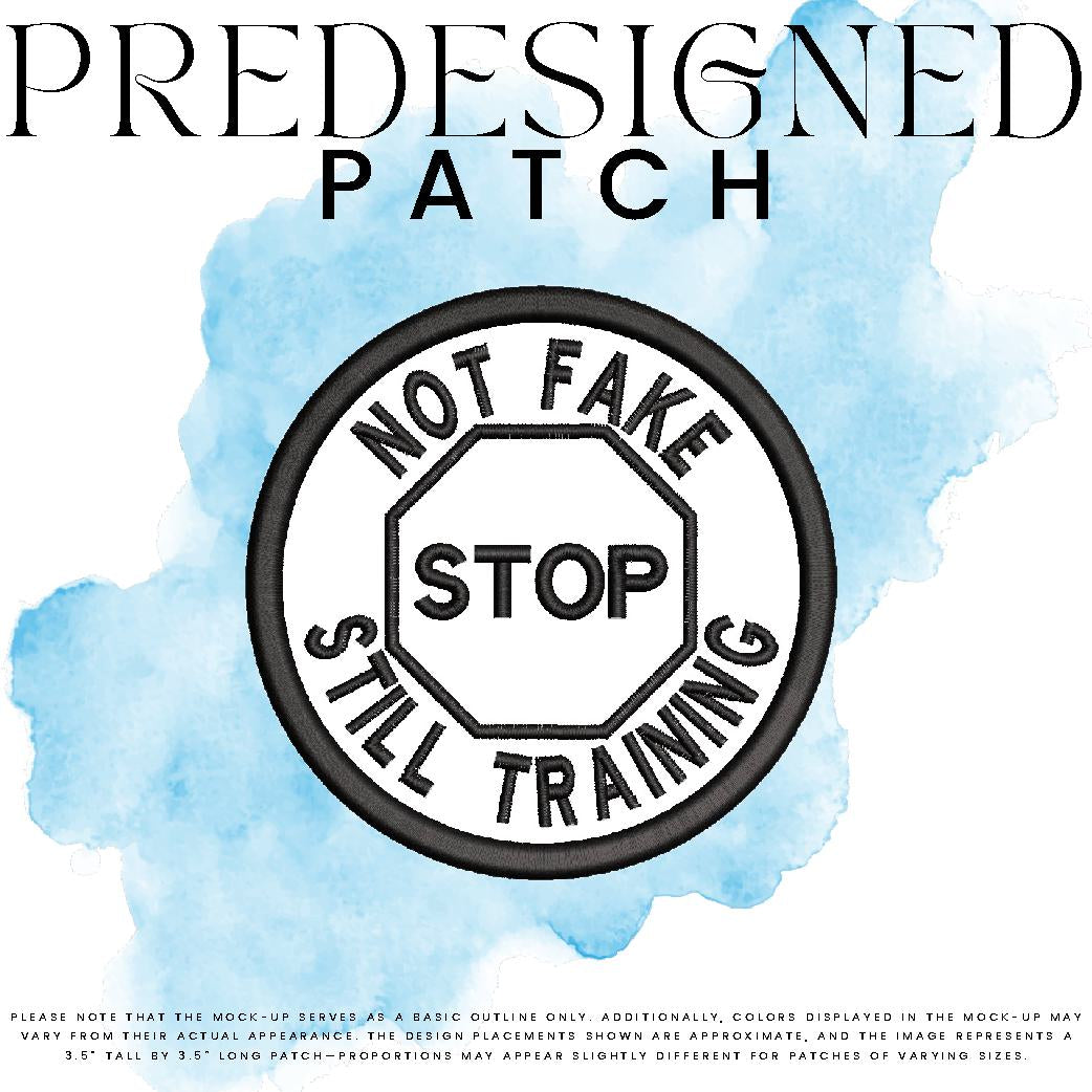 NOT FAKE STILL TRAINING-STOP SIGN (outline)