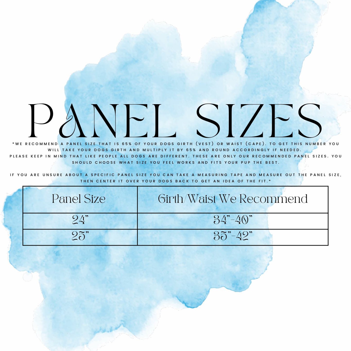 CUSTOM STANDARD PANEL: SR STRAIGHT-FRONT