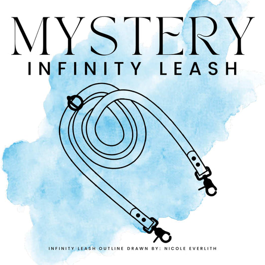 MYSTERY INFINITY LEASH