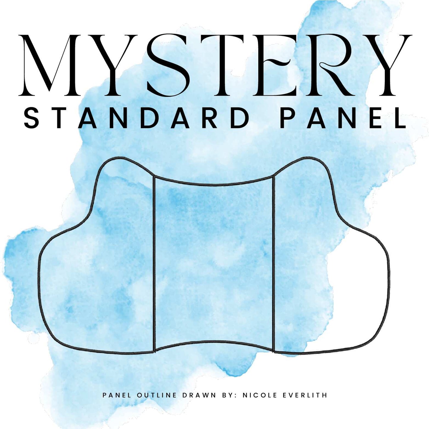MYSTERY STANDARD PANEL: BUTTERFLY Y-FRONT