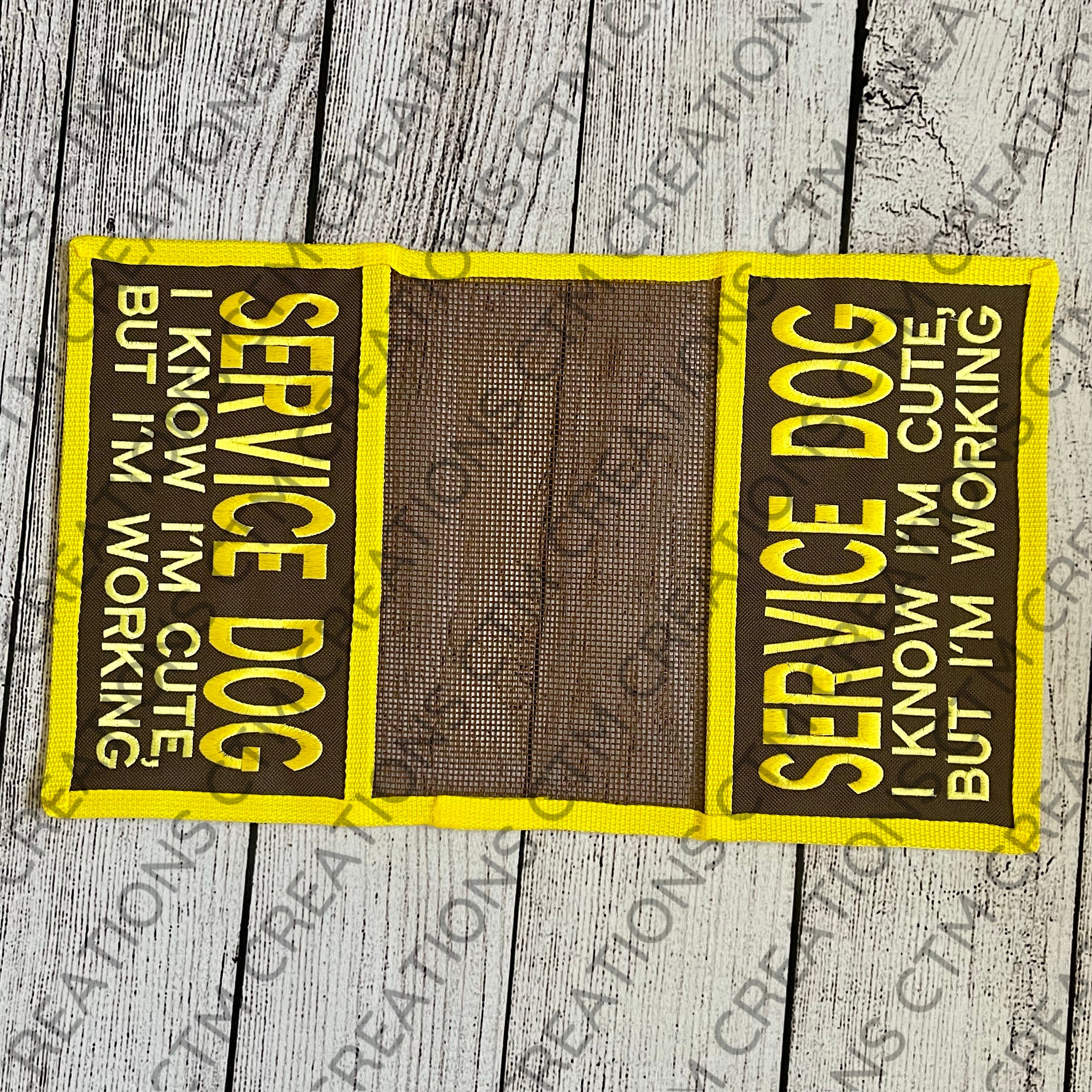 17” PANEL MTN View Oasis